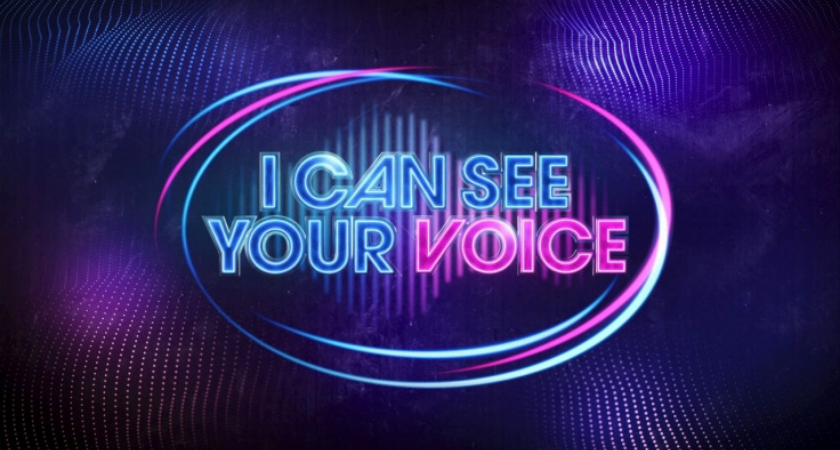 I can see your voice